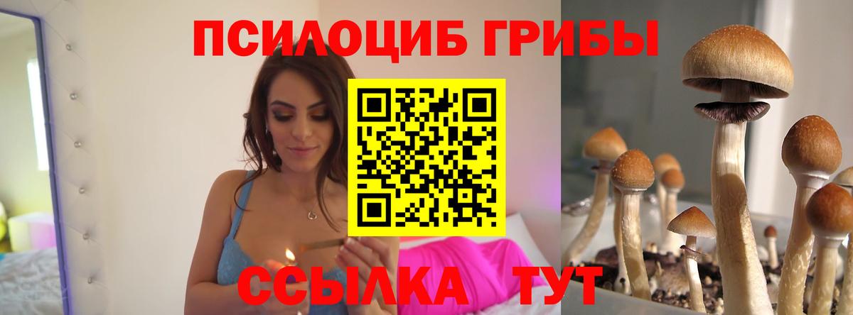 Псилоцибиновые грибы MAGIC MUSHROOMS Партизанск